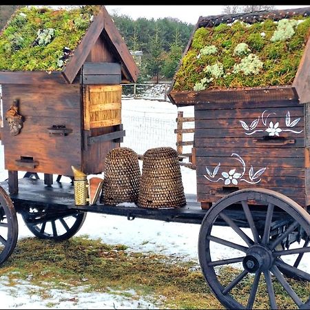 Gasno Casa Del Campo 1 빌라 외부 사진