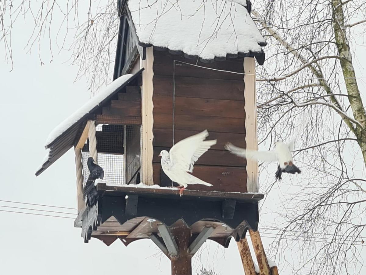 Gasno Casa Del Campo 1 빌라 외부 사진