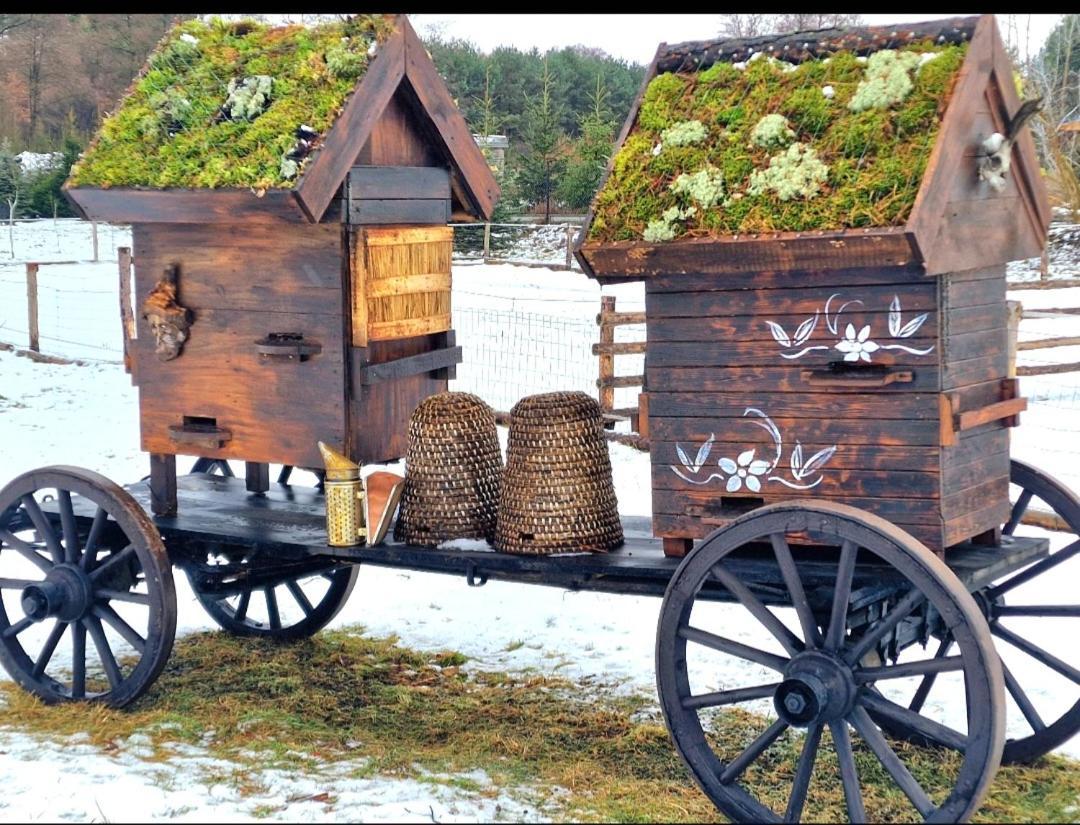 Gasno Casa Del Campo 1 빌라 외부 사진